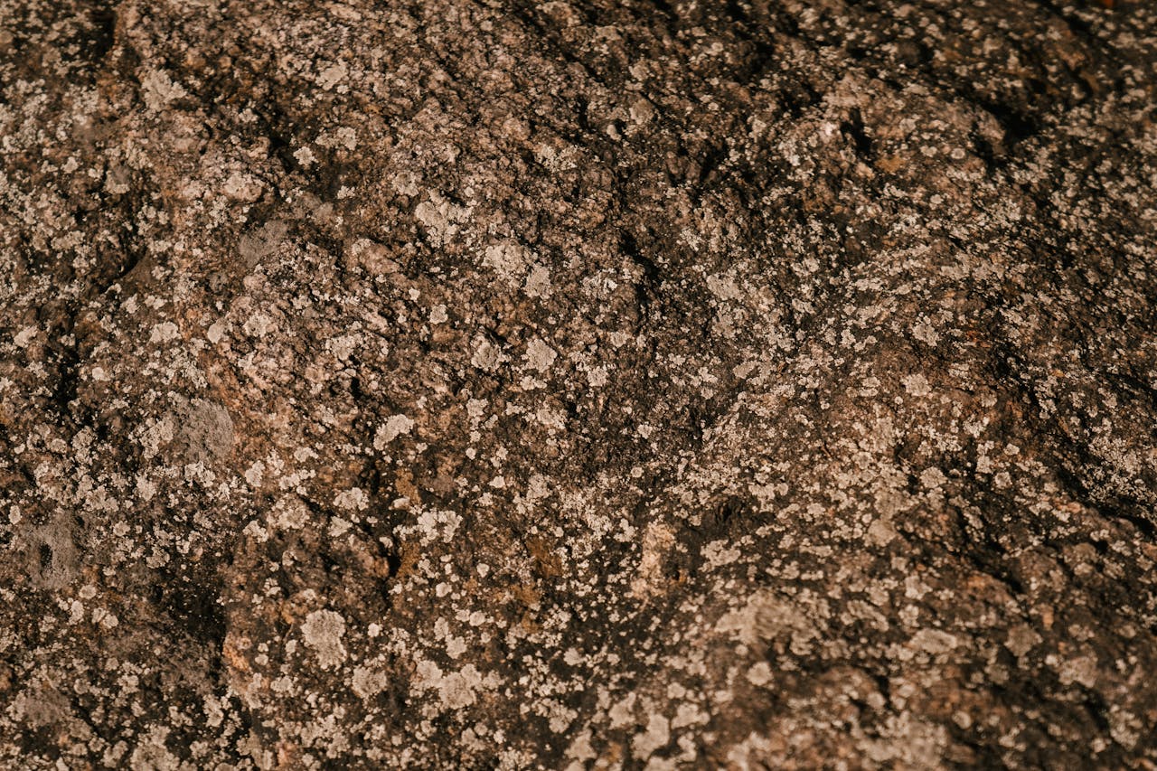 Textured background of uneven rock with scabrous surface and dry moss in countryside